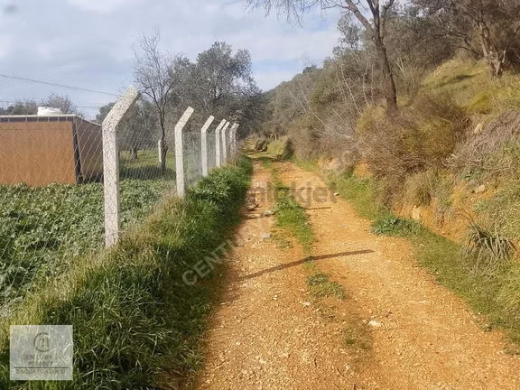 Burhaniye Hisar Köyünde 1+1 Konteynerli Yatırımlık Tarla 210m 2