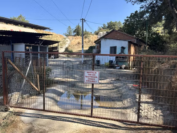 Bağyurdunda Hazır Kurulu Düzen Çiftlik 2