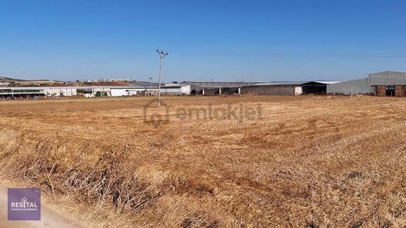 Seyran Da Kelepir Satılık Yol Üstü 8 Dönüm Otobana Yakın Arazi 1