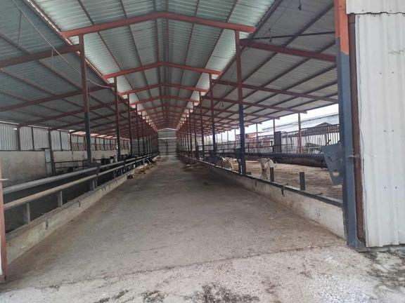 Özçelik'den 17 Dönüm Kapalı Açık Alanlı Ruhsatlı Çiflik Tesisi 2