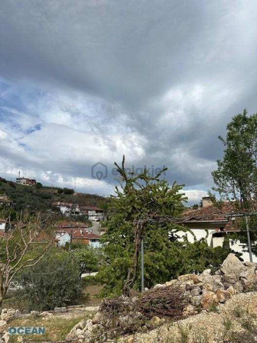 Acil Bilecik Merkez İstasyon Mah 414 M2 3 Kat İmarlı Arsa 2
