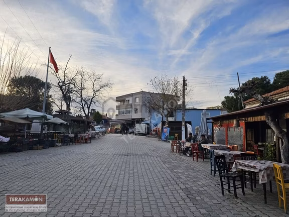 İzmir Seferihisar Ulamış Yola Cepheli 10.000 M2 Zeytinlik Arsa T 2