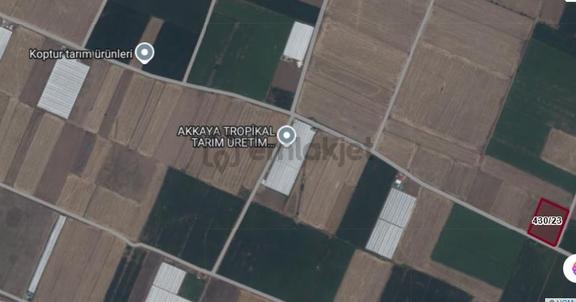 Verimli Sulamaya Müsait Sera Yapımına Uygun Satılık Tarla 2