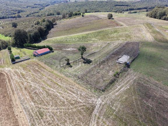 Kaynarca Karamanlarda 915m2 Müstakil Tapulu Yollu Fırsat 1