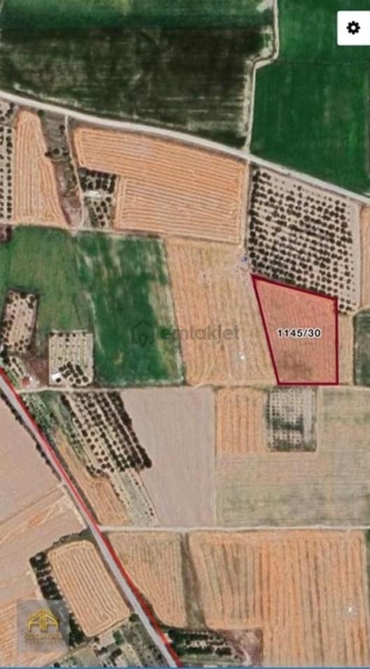 Yeşilhisar Hacılımezarlığı Mevki'de 7.868m2tek Tapulu Sulaktarla 2