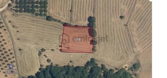 Satılık Mustakıl Tapulu 2450,35 M2 Tarla 1