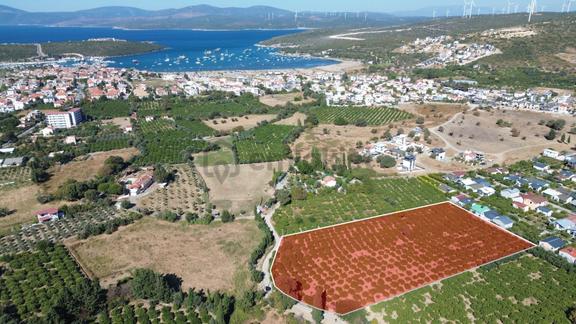 Seferihisar Sığacık Karagöl – Taşdibi Mevkiinde 6.474 M² Mandalina Bahçesi 2