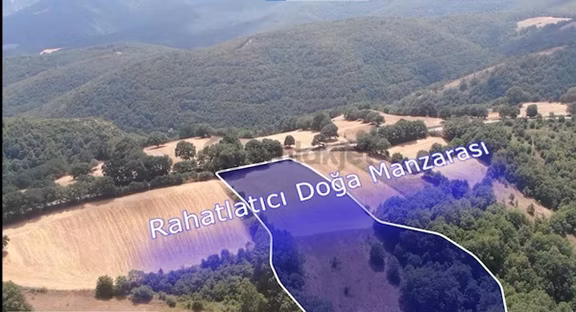 Çanakkale Biga Sarısıvat Köyü 11.863 M2 Satılık Fırsat Tarla 1