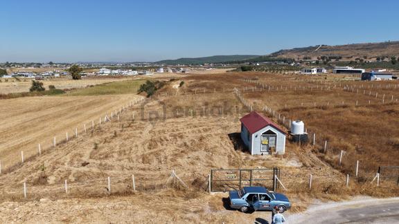 İzmir Tekelide Satılık 1.462 M2 Tapulu 25 M2 Ev İzbana Yakın Bahçe 1