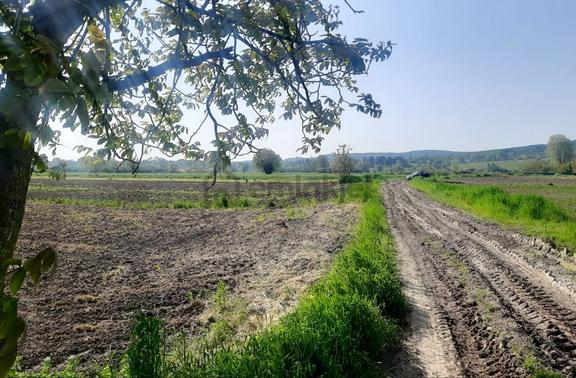 Sakarya Söğütlü Kurudil Mahallesinde Satılık 6.023 M² Tarla 1