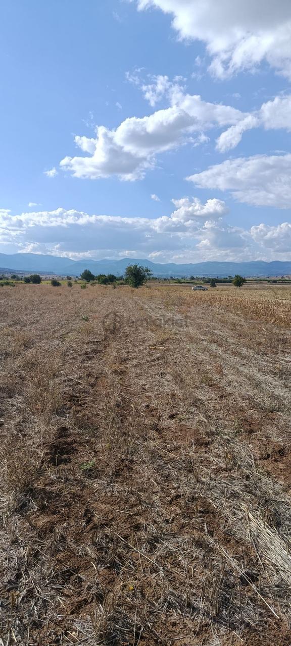 Denizli Acıpayam Dedebağı Satılık Tarla 1