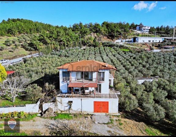 Kuşadası Yaylaköy De 40 Dönüm Satılık Arazı Deniz Manzaralı Dubleks 4+1 İki Parsel Tek Tapu 2
