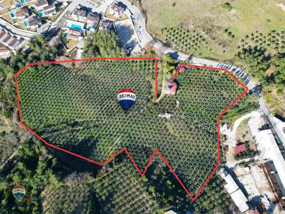 Kuşadası Yaylaköy De 40 Dönüm Satılık Arazı Deniz Manzaralı Dubleks 4+1 İki Parsel Tek Tapu 1