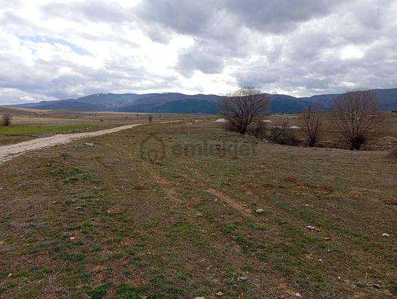 Sahibinden Kütahya Merkez Yoncalı 2.397 M2 Satılık Tarla 1