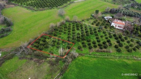 Acil Satılık! Beyobasında Sahibinden Merkezi Lokasyonda İmarlı 1000m² Arsa 1