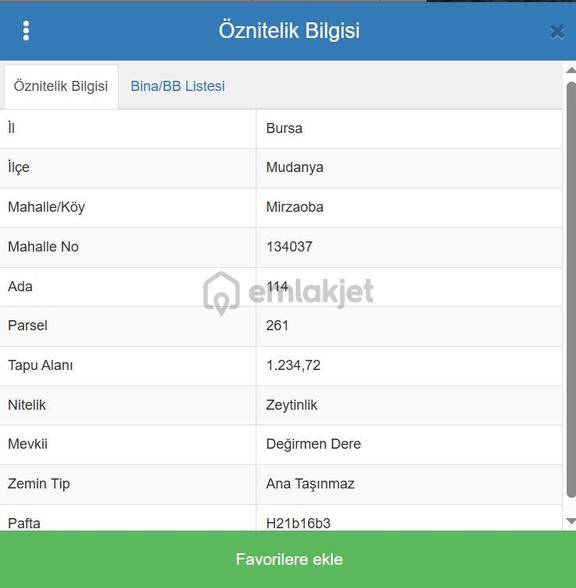 The Point Gayrimenkul 'den Mudanya Mirzaoba’da 1.234 M² Satılık Zeytinlik 1