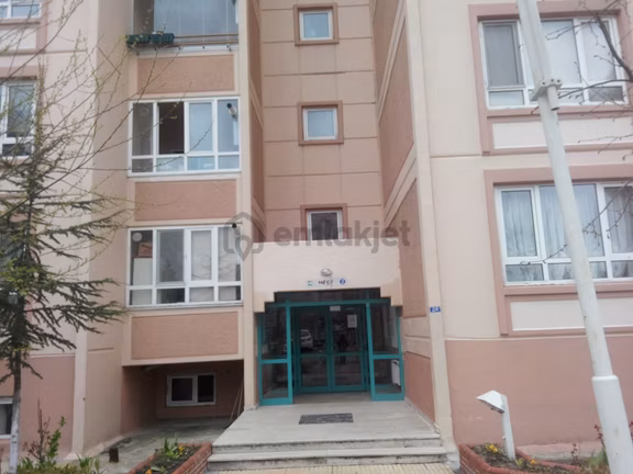 Kapaklı Organize Emlak'tan Meşe Bloklarında 3+1 Satılık Daire 2