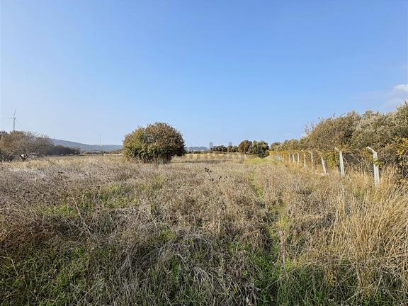 Çeşme Ovacık Musalla Mahallesinde 3482 M2 Yatırımlık Tarla 2