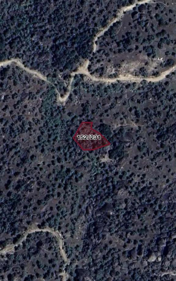Aydın Karpuzlu Tekelerde 786,75 M² Satılık Zeytinlik 1
