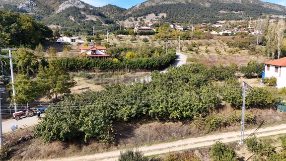 Sakarya Çinede 1341 M2 Asfalta Cephe Elektrik Su Mevcut Fırsat 2
