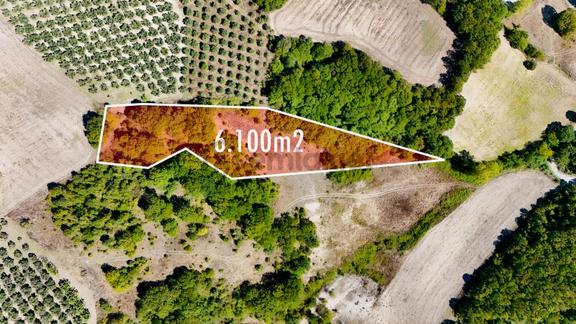 Bursa Mudanya Hançerlide 6.100 M² Satılık Tarla 2