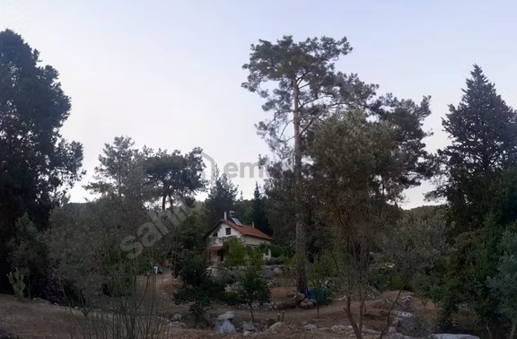 Ulupınar'da Kiralık Doğa İçinde Müstakil Ev 2