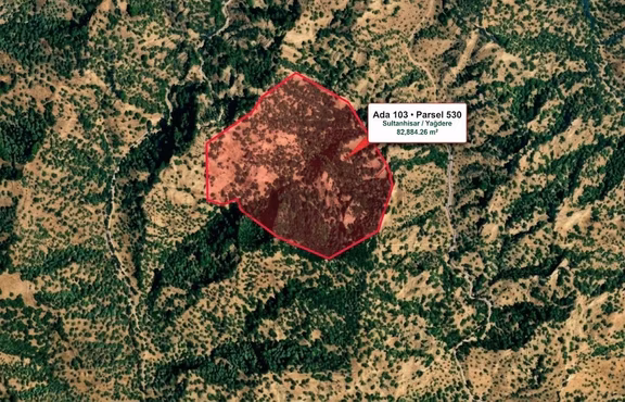 Sultanhisar Yağdere'de Acil Satılık Fırsat Zeytinlik 1