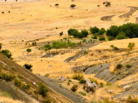 İmar Yakınında Satılık 4.500 M2 Satılık Müstakil Tapulu Bağ 1