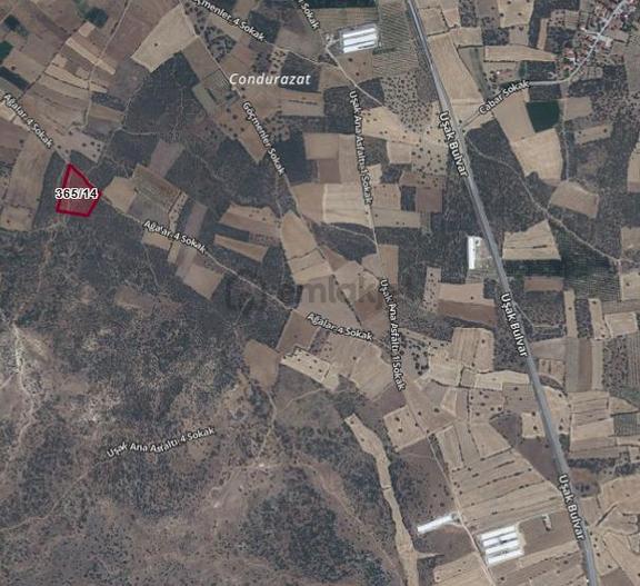 Denizli Çivril Gürpınar'da Satılık 15.461 M² Tarla 2