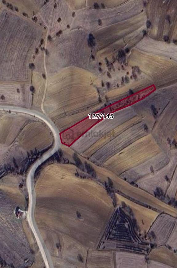 Rw Detay'dan Söğüt Ortaca Köyün'de 4,097 M2 Satılık Tarla 1