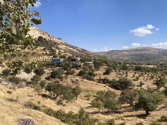 Müstakil Parsel Hipodrom Yanı 7400 M2 Fırsat Arazi 2