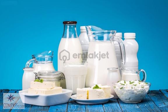 Şanlıurfa'da Kiralık Aktif Süt Ve Süt Ürünleri Fabrikası 1