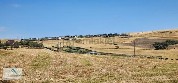 Beynam Mah 14.500 M2 Tek Tapu Çiftlik Arazisi 2