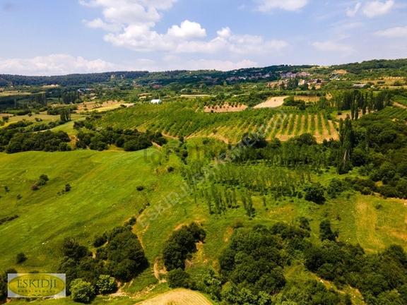 Çanakkale Lapseki'de 73.546 M² Ceviz Bahçesi Ve Üretim Tesisi 2