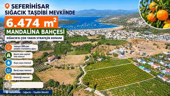 Seferihisar Sığacık Karagöl Mevkiinde 6.474 M² Mandalina Bahçesi 1