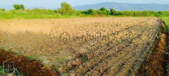 Sultanhisar Atça'da Satılık 2.947 M² Müstakil Tapulu Tarla 1