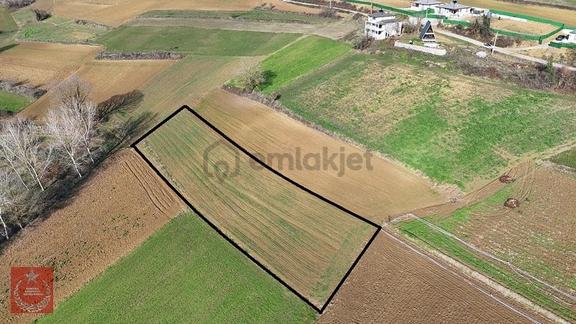 Adapazarı Büyükhatapli Da Yollu Arazi 1