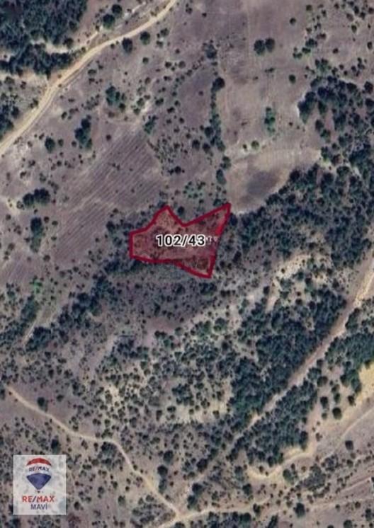 Remax Mavi Bilecik Söğüt Tuzaklı Da 3132 M2 Satılık Tarla 2
