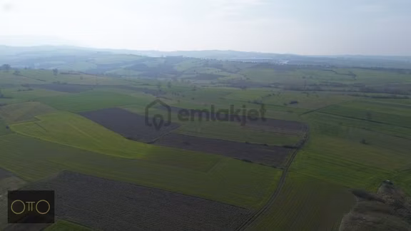 Bursa Mustafakemalpaşa Güllüce'de Fırsat Tek Tapu Tarla 2