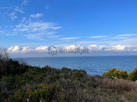 Beykoz Riva Denize Sıfır Konut + Turizm İmarlı Kupon Arsa 2