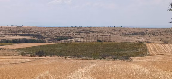 Edirne Orhaniye Mh. 8520 M. Tarla Yatırıma Uygun Satılık 1