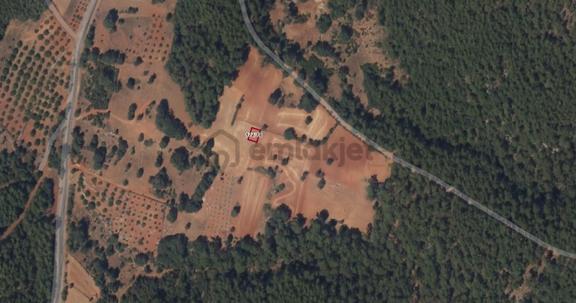 Muğla Menteşe Kuyucak'ta 169m² Satılık Tarla 2