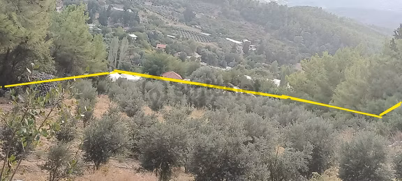 Kumluca Erentepe Köyünde Satılık 9.5 Dönüm Tarla-zeytinlik 2