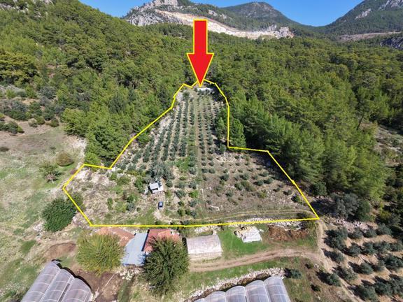Kumluca Erentepe Köyünde Satılık 9.5 Dönüm Tarla-zeytinlik 1
