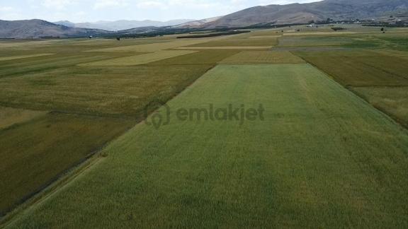 Korkuteli Taşkesik Mahallesi Yatırımlık Tarla 1
