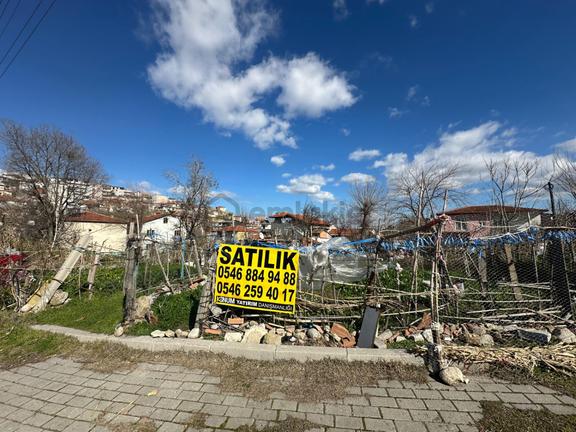 Çal Denizler Mahallesi 17.500 M² Takaslı Satılık Tarla