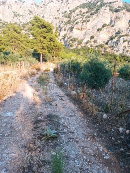 Kayadibi Satılık Arsa( Saklıkent Kanyonu Yanı) 1