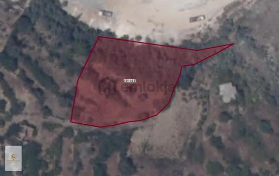 Alanya Uğrak'ta Satılık 3.306 M² Tarla - Yatırımlık Fırsat 2