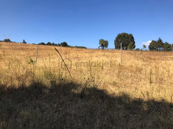 Yalova Armutlu Hayriye Köyü Doğa İçinde Yatırımlık 2960 M2 Fırsat Parsel 2