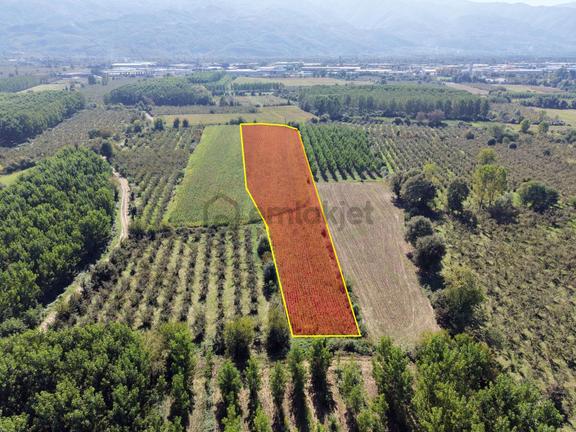 Nv Gayrimenkul | Hacıahmetler Köyü'nde 10800 M2 Satılık Arazi 1